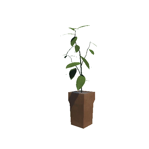 Plant 2